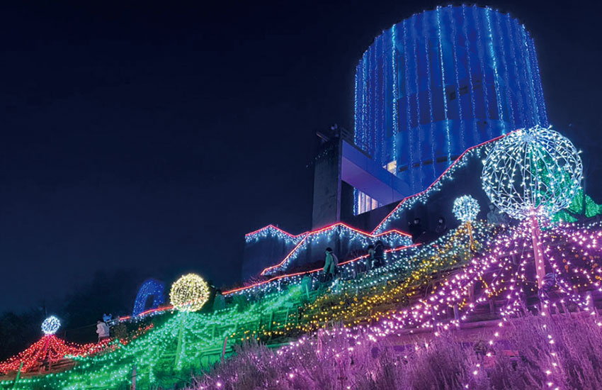 富士山と河津桜！「西平畑公園・松田山ハーブガーデン」