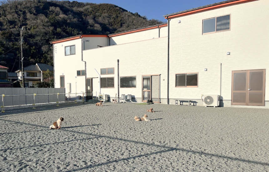 神奈川県西最大のワンちゃんのための充実した複合施設「kent crew